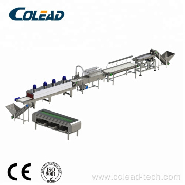 Middle East palm dates drying machine processing line